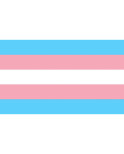PRIDE - BANDIERA TRANSESSUALE 90 X 150