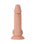 BAILE - BELLISSIMO DILDO FLESSIBILE REALISTICO ZEBULONE INCONTRO 19.4 CM NATURALE BAILE - BELLISSIMO DILDO FLESSIBILE REALISTICO ZEBULONE INCONTRO 19.4 CM NATURALE