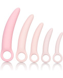 CALIFORNIA EXOTICS - SET DI DILATATORE IN SILICONE INSPIRE 5 PZ CALIFORNIA EXOTICS - SET DI DILATATORE IN SILICONE INSPIRE 5 PZ