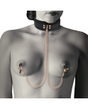 COQUETTE - CHIC DESIRE COLLANA CON PINZA PER CAPEZZOLI FANTASIA CON FODERA IN NEOPRENE COQUETTE - CHIC DESIRE COLLANA CON PINZA PER CAPEZZOLI FANTASIA CON FODERA IN NEOPRENE