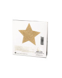 BIJOUX - INDISCRETS COPRI CAPEZZOLI FLASH GOLDEN STAR BIJOUX - INDISCRETS COPRI CAPEZZOLI FLASH GOLDEN STAR