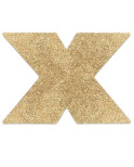 BIJOUX - INDISCRETS COPRI CAPEZZOLI FLASH ORO BIJOUX - INDISCRETS COPRI CAPEZZOLI FLASH ORO