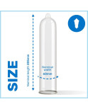 PASANTE - I PRESERVATIVI KING MS LUNGO E LARGHEZZA 12 UNIT PASANTE - I PRESERVATIVI KING MS LUNGO E LARGHEZZA 12 UNIT